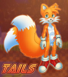 anthro balls blue_eyes blush canine chokodonkey clothing erection footwear fox fur gloves grin male male_only mammal mostly_nude penis shoes smile solo sonic_(series) standing tails