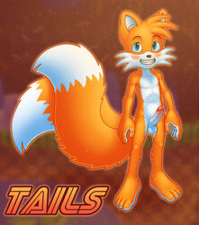 anthro balls blue_eyes blush canine chokodonkey erection fox fur grin male male_only mammal nude penis smile solo sonic_(series) standing tails