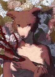anthro beastars berries flowers furry juno_(beastars) mdeg. wolf wolf_girl