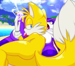 big the cat from sonic (series) by thanu