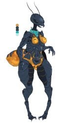 4_arms ant antennae_(anatomy) anthro arthropod arthropod_abdomen black_eyes blue_scarf breasts chalktooth featureless_breasts female front_view genitals grey_body hi_res honeypot_ant hymenopteran insects mostly_nude multi_arm multi_limb nude orange_body scarf scarf_only simple_background solo thick_thighs vulva white_background wide_hips