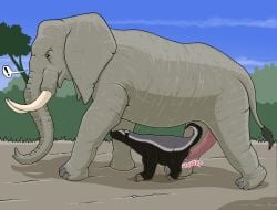2025 ambiguous_feral ambiguous_gender ambiguous_penetrated ambiguous_penetration badger black_body black_fur brown_eyes claws duo elephant elephantid erection exclamation_point female_(lore) feral feral_on_feral feral_penetrated feral_penetrating feral_penetrating_feral fur genitals grey_body grey_fur hi_res honey_badger interspecies large_insertion larger_male male male/ambiguous male_feral male_penetrating male_penetrating_ambiguous mammal mustelid musteline njaa_(strega) outside outside_sex penetration penile penile_penetration penis proboscidean sex size_difference smaller_ambiguous smaller_penetrated strega surprise tail tail_tuft tongue tongue_out tuft tusks