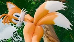 16:9 1boy 2_tails 3d 4k absurd_res anthro ass blue_eyes canid canine digital_media_(artwork) fox hands_behind_back hi_res leaning leaning_forward looking_at_viewer looking_back low-angle_view male mammal miles_prower mobian_(species) multi_tail plant sega smile smiling_at_viewer solo sonic_(series) sonic_the_hedgehog_(series) tail tails tails_the_fox tree twintails3d widescreen