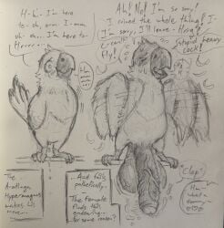 apologetic apology avian avian_feet balls big_balls bird bodily_fluids comic courting dialogue dialogue_box dripping embarrased_horny embarrassed embarrassed_male embarrassing_exposure english_text feral flapping_wings genital_fluids genitals graphite_(artwork) hi_res huge_balls humanoid_genitalia hyper hyper_balls hyper_genitalia jandaya leaking leaking_precum male mating_ritual narration neotropical_parrot parakeet parrot popopodo precum precum_drip precum_string sex solo speech_bubble sweat sweatdrop text traditional_media_(artwork) true_parrot
