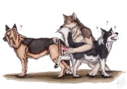 anal anal_sex animal_genitalia animal_penis anthro anthro_on_feral balls black_body black_fur black_pawpads border_collie brown_body brown_fur canid canine canine_genitalia canine_penis canis cheek_tuft closed_eyes collie crouching domestic_dog erection facial_tuft feral feral_on_feral feral_penetrated feral_penetrating feral_penetrating_feral fur genitals german_shepherd group herding_dog knot kola_(artist) leg_tuft looking_pleasured male male/male male_penetrated male_penetrating male_penetrating_male mammal mutual_penetration neck_tuft nude open_mouth orange_balls orange_body orange_eyes orange_fur pastoral_dog pawpads penetration penile penile_penetration penis penis_in_ass red_penis sex sheepdog side_view simple_background tan_body tan_fur trio tuft white_background white_balls white_body white_fur wolf zoophilia