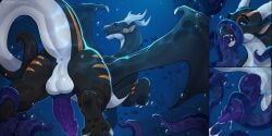 animal_genitalia anora_drakon anus ass balls black_body black_pawpads black_scales blue_eyes claws dragon feral ferro_the_dragon genitals hi_res horn looking_at_viewer male mythological_creature mythological_scalie mythology pawpads penis perineum purple_penis scales scalie sheath solo white_body white_claws white_horn white_scales