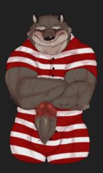 2017 canine clothing crossed_arms erection fur hotel_transylvania humanoid_penis male male_only mammal maychin muscular penis simple_background solo standing swimsuit wayne_werewolf were werewolf wet