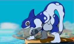 anus aquatic ass balls big_balls big_butt blue_body cetacean claws detailed_background dolphin genitals heart_(marking) heart_symbol hearts_around_head hi_res looking_at_viewer looking_back male male_only mammal markings non-human non-human_head non-human_only oceanic_dolphin one_foot_raised orca orcane outside pawpads perineum presenting presenting_hindquarters quadruped raised_tail rivals_of_aether smile smirk snout solo tail toe_claws toothed_whale waniiime wood