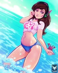 beach bikini d.va female foxilumi overwatch solo