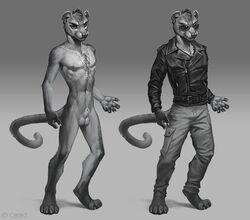 1boy 2015 4_toes 5_fingers anatomically_correct animal_genitalia anthro barefoot belt caraid cargo_pants claws clothed clothing digitigrade eyewear fossa fully_clothed fur furry gradient_background greyscale hair jacket leather leather_jacket looking_at_viewer male male_only mammal monochrome nipples nude original_character pants sheath short_hair simple_background solo standing sunglasses text toes