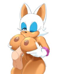 rouge the bat from sonic (series) by josieokami