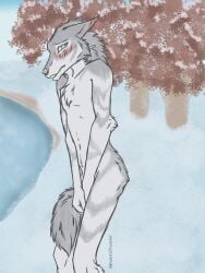 1boy absolutedisaster ass blush covering embarrassed male non-human non-human_only nude skinny snout snow wolf