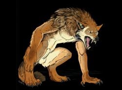 animal_genitalia anthro balls canid canine canis collar coyote crypsis genital_piercing genitals hi_res kojote male mammal mythological_canine mythological_creature mythology piercing sheath snarling solo werecanid werecanine werecreature werewolf