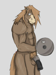 1boy anthro arrwulf balls ballsack brown_fur equine equine_penis exercise flaccid_penis fur horse_tail horsecock male male_nipples male_only male_pubic_hair mammal mane medial_ring muscular muzzle_marking nude_male penis ponytail scrotum solo testicles weightlifting whale_ton workout