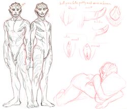 2012 alien alien_girl bioware character_sheet drell erection female flaccid foreskin male mass_effect nude penis pussy reginaprimata sci-fi science_fiction scifi sketch toned toned_male video_games