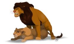 arf-fra blush closed_eyes disney duo felid female female_penetrated feral feral_on_feral hi_res jan_(shape-shifter) kiara_(the_lion_king) lion male male/female male_on_top mammal on_top pantherine penetration simple_background the_lion_king white_background