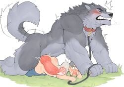 2boys anal anthro_dominating_human anthro_on_human bara blonde_hair blush blushing canine canine_genitalia canine_on_human canine_penis cum cum_in_ass cum_inside disiwjd doggy_style dominant dominant_male domination drool drooling gay grey_fur knot knotted_penis knotting leash leash_and_collar male_only size_difference submissive submissive_male tagme veiny_penis x-ray
