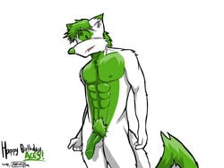 arrwulf canine fur green_flesh green_fur male_only mammal multicolored_fur penis solo two_tone_fur white_fur