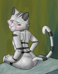 1boy anthro anus blush feline invalid_tag jewelpet jewelpet_(species) looking_back male male_only mammal sanrio solo solo_male stripes tagme tairenukitty tour_(jewelpet)