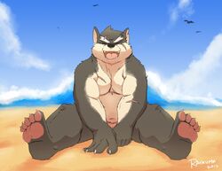 beach belly canine covering covering_self feet gay male male_only mammal moritaka musclegut nude pawpads pecs pose raibearkun scar seaside slightly_chubby smile tokyo_afterschool_summoners