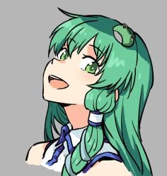 ahemaru alternate_version_available green_eyes green_hair hair_ornament looking_at_viewer not_porn sanae_kochiya tagme tagme_(artist) touhou