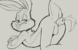 all_fours anal anal_sex anthro anus ass ass_up backsack balls buckteeth bugs_bunny carrot dandi food fur half-closed_eyes improvised_dildo improvised_sex_toy lagomorph looking_back looney_tunes male male_only mammal monochrome penetration perineum rabbit simple_background sketch smile solo teeth vegetable warner_brothers