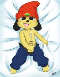 1boy anthro bar_censor black_eyes black_nose blush clothed clothing cum male male_only masturbation open_mouth orgasm parappa parappa_the_rapper penis sex topless uncut underwear video_games