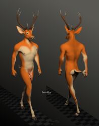 3d animated anthro antlers balls beastmilk biped cervid dangling horn male male_only mammal nipples nude penis simple_background solo