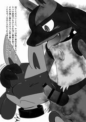 2017 anthro blush canine dirty fangs fur japanese_text kurohane_karasu lucario male mammal monochrome nintendo nude penis pokemon pokemon_(species) precum simple_background tailwag text tongue tongue_out translation_request video_games