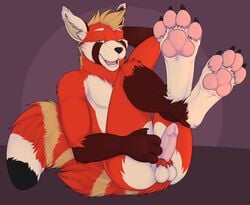 2019 3dinoz 4_fingers 4_toes ailurid anthro balls black_nose digitigrade erection eyebrows fingers fur gloves_(marking) green_eyes hand_behind_head inviting leg_markings looking_at_viewer male male_only mammal markings multicolored_fur nude pawpads paws penis pink_penis presenting pubes red_fur red_panda sitting smile socks_(marking) solo toes white_fur