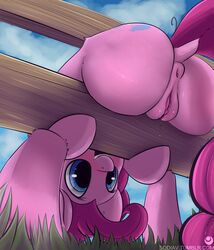 absurd_res anus ass blue_eyes clip_clop cutie_mark dock earth_pony equine female feral friendship_is_magic grass hair hi_res horse mammal my_little_pony open_mouth outside pink_hair pinkie_pie_(mlp) pony pussy pussy_juice solo