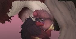 absurd_res animal_genitalia anthro balls balls_worship bodily_fluids body_worship cum dragon duo eastern_dragon felkin feral fur genital_fluids genital_worship genitals hi_res licking male male/male malventuro_(svevato) mythological_creature mythological_scalie mythology precum scalie servicing_from_below sheath size_difference svevato tongue zoophilia