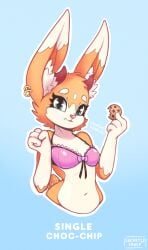 1girls animated animated animated big_breasts blush blush bra breast_expansion breasts character_request cleavage cookie ear_piercing earrings female female_only furry furry_breasts furry_ears furry_female furry_only furry_tail looking_at_viewer nipples secretly_saucy simple_background smile smiling smiling_at_viewer solo source_request text