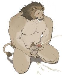anthro ball_fondling balls big_arms blush bodily_fluids cum ejaculation fangs felid fondling genital_fluids genitals hi_res humanoid_genitalia kemono lion male mammal mane masturbation muscular muscular_anthro muscular_male nipples nude_anthro nude_male orgasm_face pantherine pecs penis shadow simple_background solo sweat sweatdrop tail teeth yongbae2372