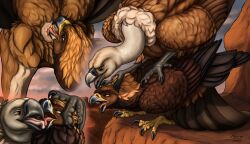 absurd_res accipitrid accipitriform anal anatomically_correct animal_genitalia avian bird cloaca cloacal cloacalingus dominant dominant_male eagle feral ferobird genitals golden_eagle griffon_vulture hi_res interspecies interspecies_domination kissing licking male male/male old_world_vulture oral rimming roy_(ferobird) sawyer_(ferobird) sex submissive submissive_male tongue tongue_out true_eagle vulture