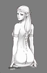 nesoun nintendo princess_zelda the_legend_of_zelda twilight_princess zelda_(twilight_princess)