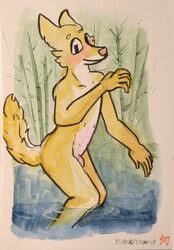 2019 anthro bamboo bamboo_tree bathing blush canid canine canis casual_nudity domestic_dog flaccid forest fur looking_at_viewer male male_only mammal mothandpodiatrist multi_nipple nipples nude outside painting_(artwork) partially_submerged penis pink_nipples smile solo traditional_media_(artwork) tree water watercolor_(artwork) yellow_fur