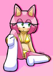 amy rose from sonic (series) by anoers