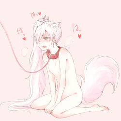 animal_ears blush catgirl collar cute female leash long_hair nagasawa_(tthnhk) nipples nude petplay ponytail rwby small_breasts tail weiss_schnee white_hair