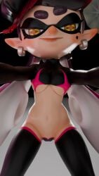 Callie (Splatoon) Rule 34 Image