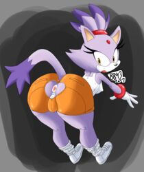 blaze the cat from sonic (series) by bullet-blast-43