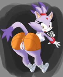 blaze the cat from sonic (series) by bullet-blast-43