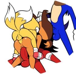 anal ass balls blue_fur foursome furry hedgehog knuckles_the_echidna mammal miscon oral penis sonic_(series) sonic_boom sonic_the_hedgehog spitroast sticks_the_badger sticks_the_jungle_badger sticks_the_tejon tails team_sonic vaginal_penetration