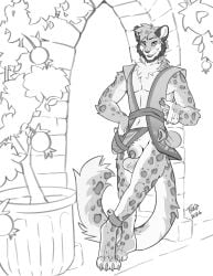 absurd_res animal_genitalia anklet anthro balls bottomwear bottomwear_aside claws clothing clothing_aside facial_hair felid feline fully_sheathed genitals hi_res jewelry loincloth loincloth_aside male mammal monochrome muzzlepunch opalance pantherine penis penis_tip quadruped sheath snow_leopard solo tail topwear vest whiskers