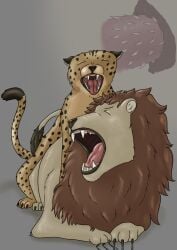 anal anal_penetration anus cheetah claws digitigrade duo erection feet felid feline feral feral_on_feral feral_penetrated feral_penetrating feral_penetrating_feral genitals hi_res hindpaw larger_sub lion male male/male male_feral male_penetrated male_penetrating male_penetrating_male mammal open_mouth pantherine paws penetration penile penile_penetration penile_spines penis penis_in_ass quadruped sex size_difference submissive teeth_showing tiny_terrible toe_claws
