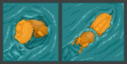 arachnid arthropod canid canine cervical_penetration cervix duo fox fur internal mammal penetration spider unbirthing vaginal ved_s ved_s_(fox) vore yellow_body yellow_fur