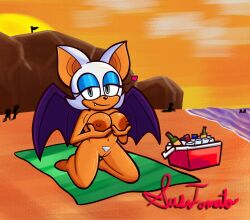 areolae bat bat_girl boobs breasts female nipples pussy rouge_the_bat sonic_(series) sonic_the_hedgehog_(series) sustomato10 tagme tits vagina wings