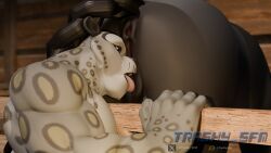 16:9 3d_(artwork) 4k absurd_res anal animal_genitalia anthro anus barn bestiality blender_(artwork) blender_eevee_(artwork) bodily_fluids cunnilingus digital_media_(artwork) dreamworks duo equid equine felid feline female feral fur genital_fluids genitals hi_res horse inside kung_fu_panda male male/female mammal muscular muscular_anthro muscular_male nude oral pantherine puffy_anus saliva sex snow_leopard spots stable tai_lung_(kung_fu_panda) tongue trashy_sfm vaginal vulva widescreen