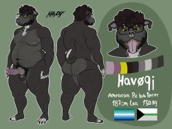 absurd_res american_pit_bull_terrier anatomically_correct anatomically_correct_genitalia anatomically_correct_penis animal_genitalia animal_penis anthro areola balls beard belly_hair biped body_hair canid canine canine_genitalia canine_penis canis character_name chest_hair domestic_dog english_text erection eyebrow_piercing eyewear facial_hair facial_piercing facial_scar genital_piercing genitals glasses hairy havhavoc havoc_(havhavoc) hi_res hunting_dog knot knotted_penis lgbt_pride male male_anthro mammal metric_unit model_sheet moobs multiple_piercings nipples nose_piercing nose_ring overweight overweight_anthro overweight_male penis piercing pit_bull plantigrade pride_colors pubes ring_piercing scar scrotum_flap scrotum_piercing septum_piercing septum_ring solo stated_height stated_species stated_weight terrier text vincian_pride_colors wearing_glasses