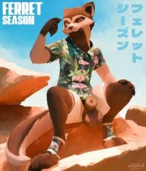 animal_genitalia anthro balls bottomwear brown_sheath clothed clothing digital_media_(artwork) domestic_ferret english_text eyewear fully_sheathed fur genitals glasses hi_res japanese_text looking_at_viewer male mammal mustelid musteline open_bottomwear open_clothing open_shorts round_glasses sheath shirt shorts sidekick simple_background sitting smile solo spread_legs spreading tail text topwear true_musteline wearing_glasses weasel